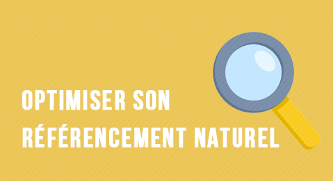 Optimiser son référencement naturel