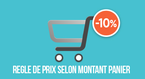 -10% sur une marque dès 300€ d'achat sur la marque